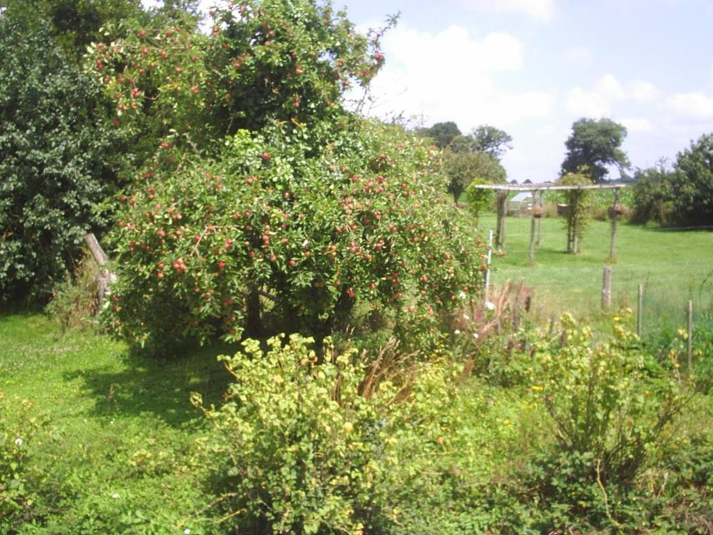 Chambres D'Hote Honey Orchard Farm Vessey Ngoại thất bức ảnh